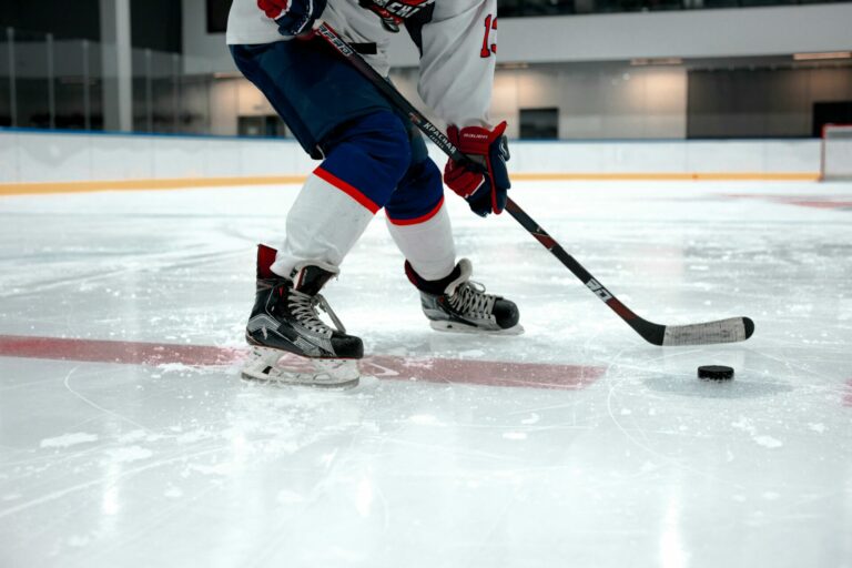 hockey sur glace (Illustration) / © Ron Lach