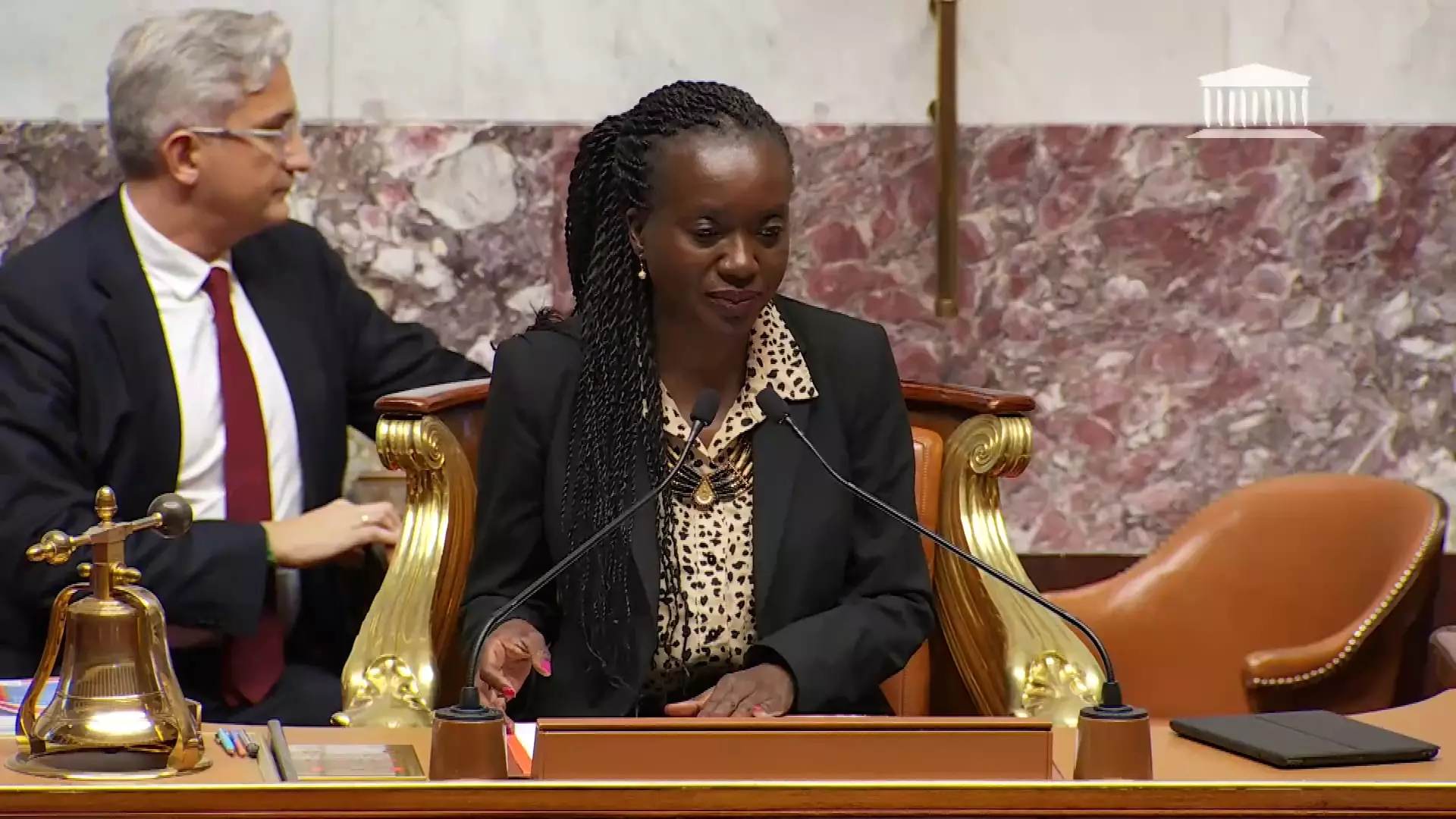 Nadège Abomangoli est devenue la première femme noire de l'histoire du pays à tenir le perchoir à l'Assemblée nationale. Photo DR/Assemblée nationale