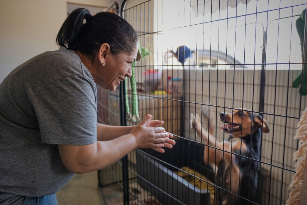 Illustration. © JOANA BAUMG