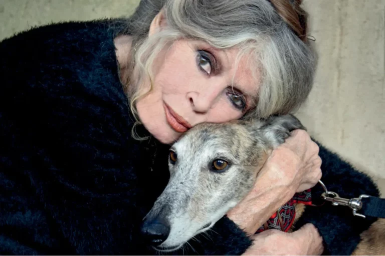 « Vivre avec les bêtes s’apparente à une sorte de maternage. J’ai une aptitude à renifler leurs souffrances. » Brigitte Bardot en 2016, avec l’un de ses neuf chiens. © Collection particulière Brigitte Bardot