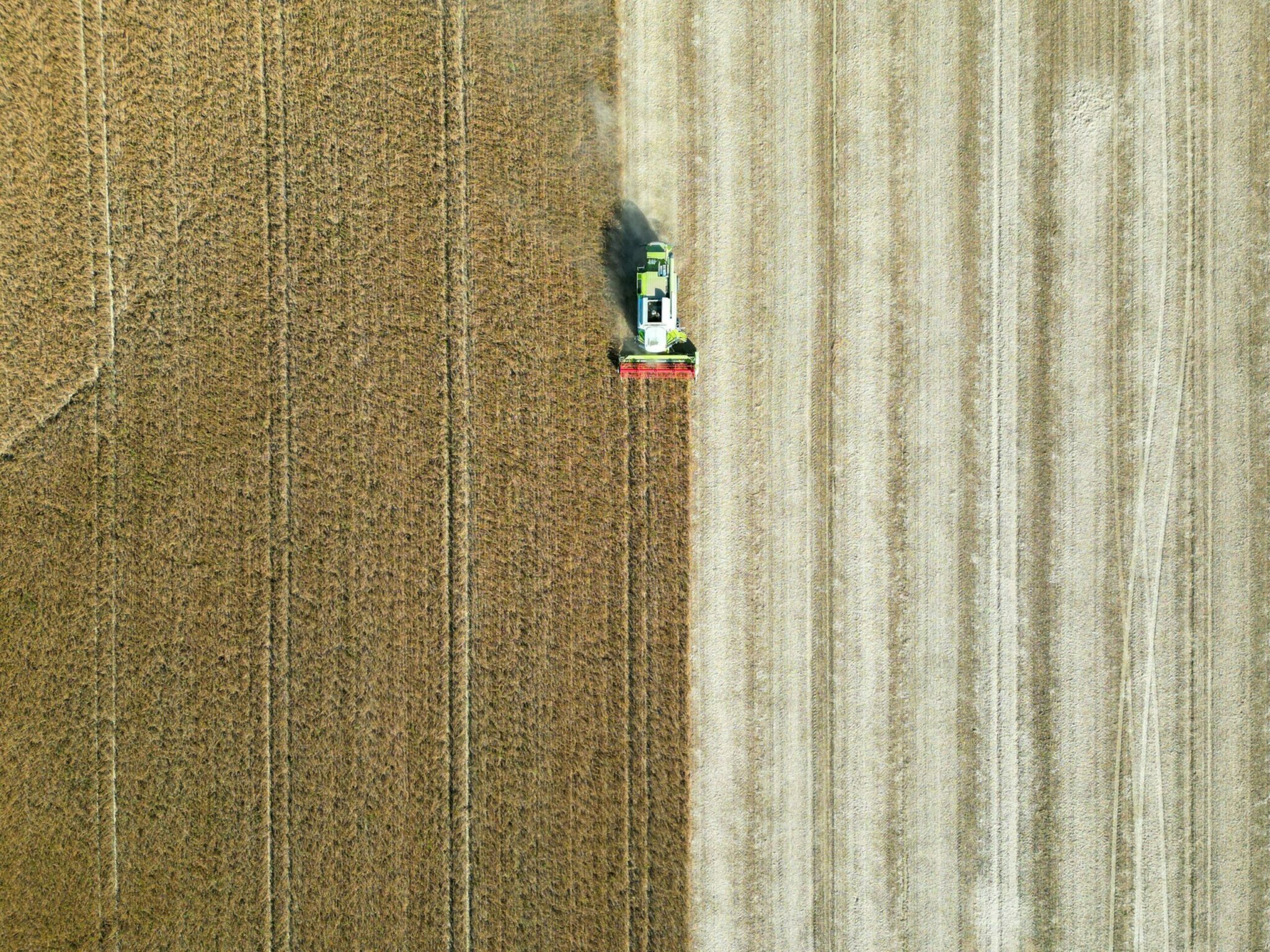 Oise : un rapport disculpe l’OFB après le suicide d'un agriculteur 2 Illustration d'un champ © VLADIMIR SRAJBER / PXL