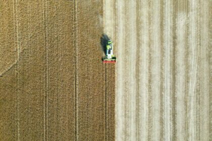 Illustration d'un champ © VLADIMIR SRAJBER / PXL