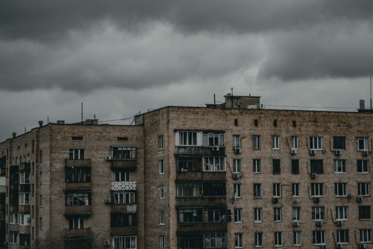 pexels annechois 7708419