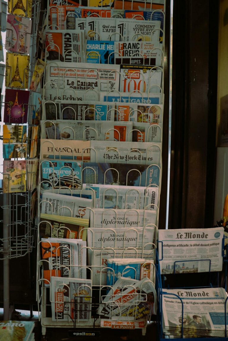 Kiosque de presse (illustration) © CELINEL/PXL