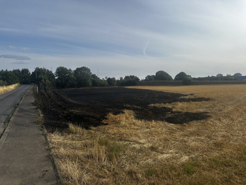 Oise : un feu de champs s’est déclaré près de Leroy Merlin à Beauvais 3 img 0468